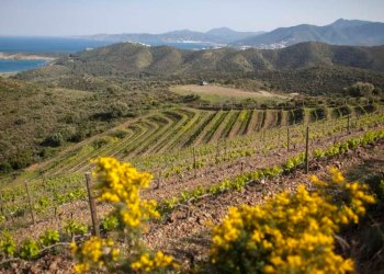 Una marca, dues comarques