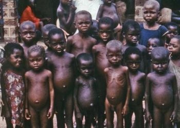 La crisi alimentària