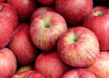 La Fira de la Poma a Ullà