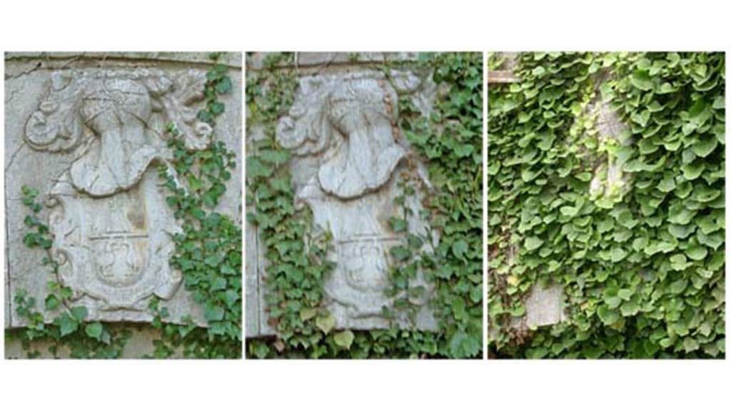 A l’aguait del nostre patrimoni