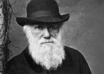 L’origen de les espècies