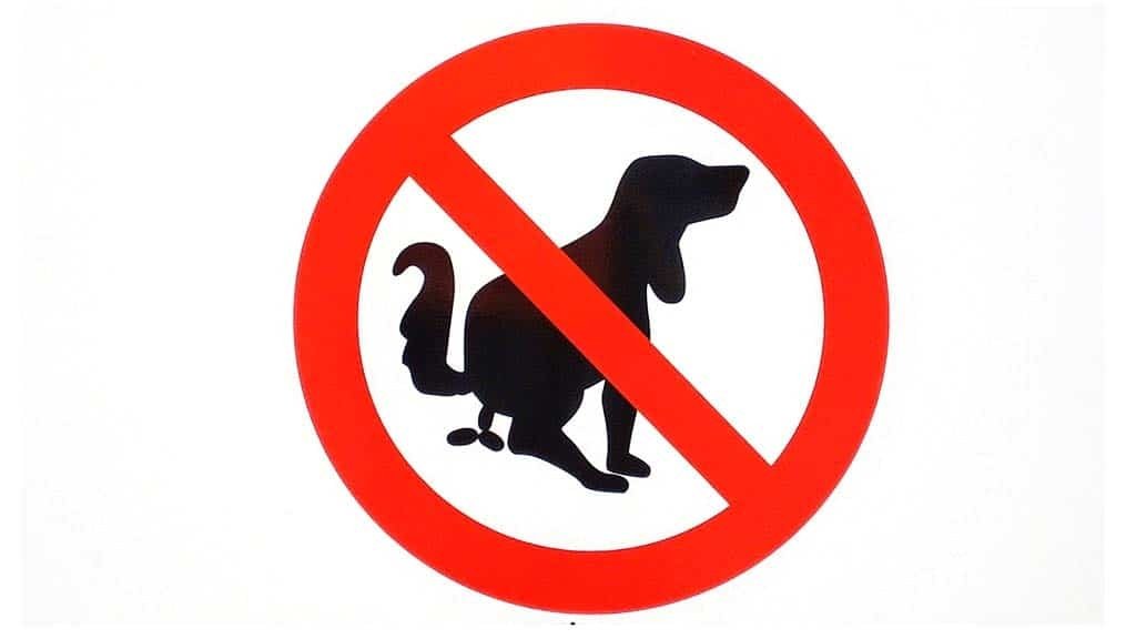 No m’agraden les tifes de gossos