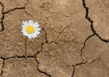 Podem aturar la bombolla ecològica?