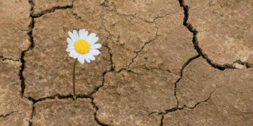 Podem aturar la bombolla ecològica?