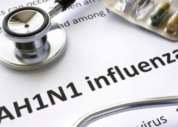 La grip porcina -nova-, AH1N1. Comunicat de l’ OMS i estadístiques
