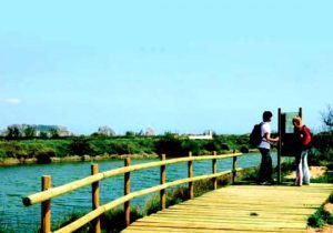 Aiguamolls del Baix Ter