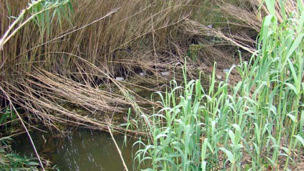 A l’aguait del nostre patrimoni