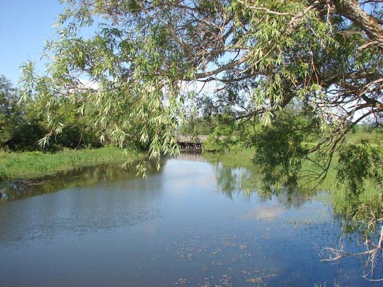 Paisatge de Vermont Paisatge de Vermont