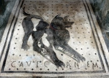Cave Canem