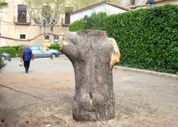 A l’aguait del nostre patrimoni