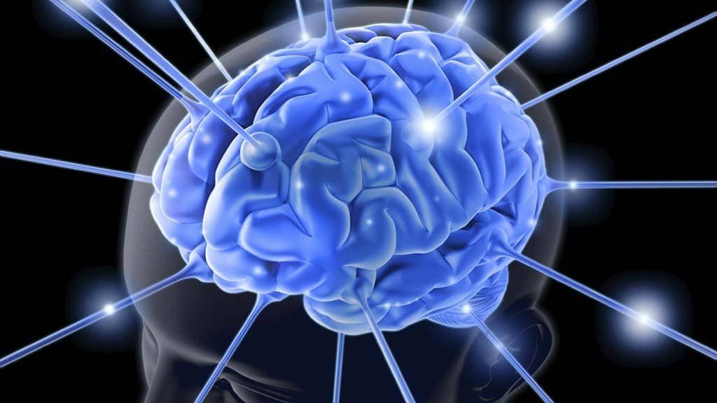 La cultura, element basic per sortir de la crisi