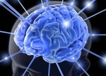 La cultura, element basic per sortir de la crisi