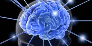 La cultura, element basic per sortir de la crisi