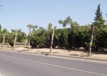 A l’aguait del nostre patrimoni