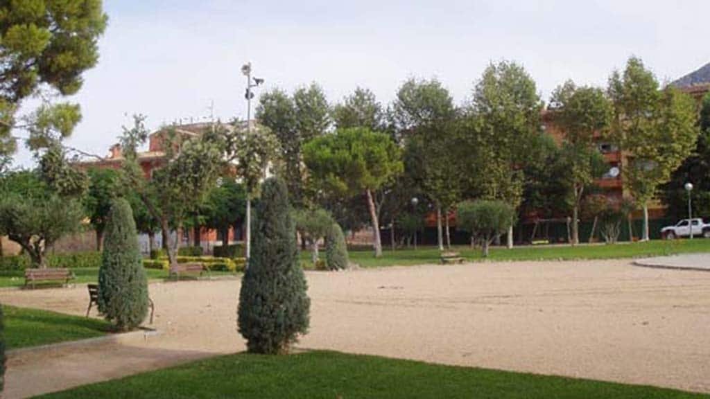 Arbres de Torroella