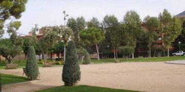 Arbres de Torroella