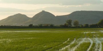 El model agrari actual i el parc natural