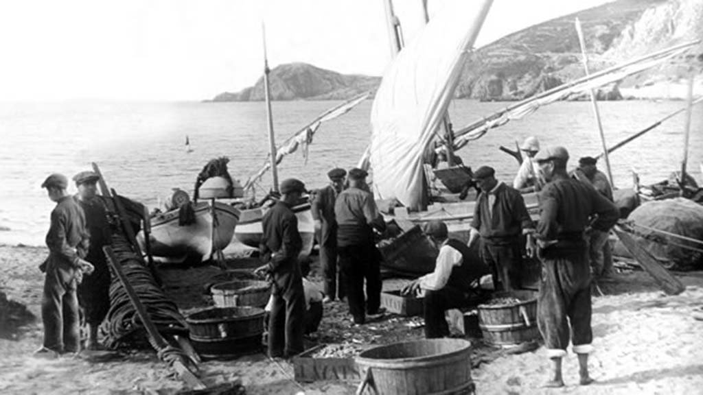 Estudis del Baix Empordà