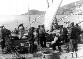 Estudis del Baix Empordà