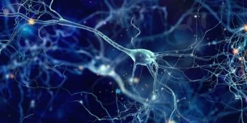 Societat Catalana de Neurologia: La celebració d’un centenari