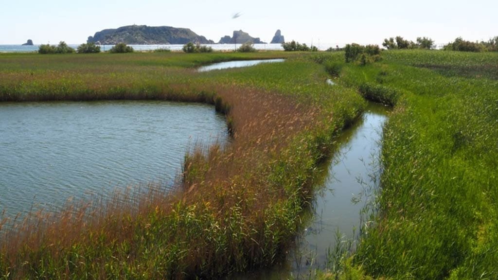 de la Gola al Ter Vell