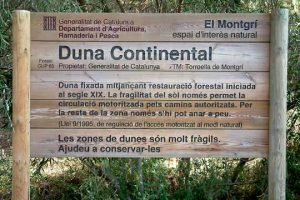 foto Gabriel Martinoy foto Gabriel Martinoy