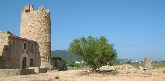 foto Gabriel Martinoy