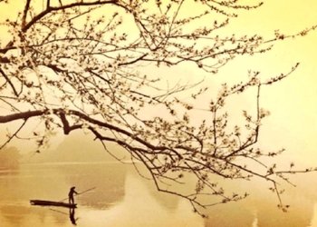 Els haikus arriben a Torroella de Montgrí per la Diada de Sant Jordi