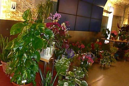 Floreix Torroella per Pasqua granada