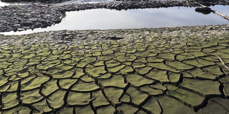 Les aigües baixen tèrboles II
