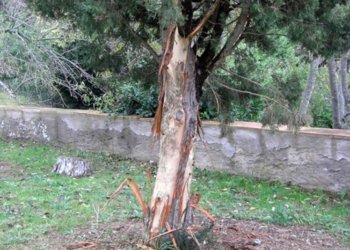 A l’aguait del nostre patrimoni