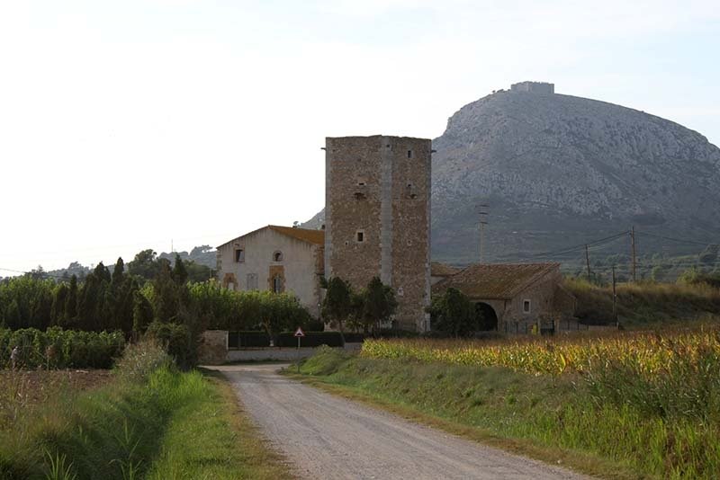 Centenari dels Masos Nous d’en Robert
