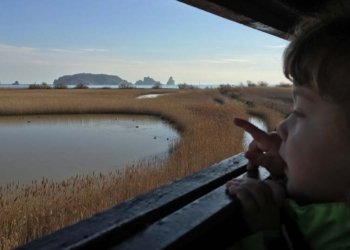 El Ter Vell, un espai a preservar