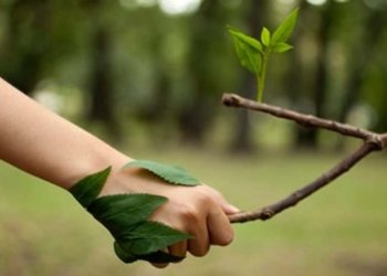 La sostenibilitat (II)