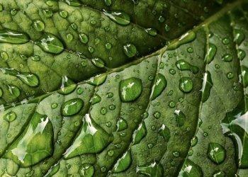 El Baix Ter i la sostenibilitat (3)