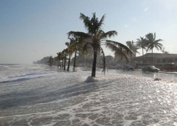 Adaptant-nos a un clima hostil