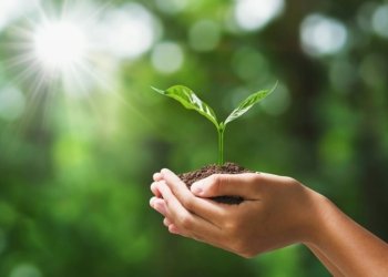 Aquest article és ecosostenible