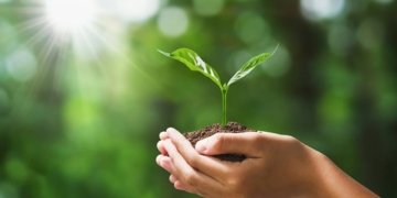 Aquest article és ecosostenible