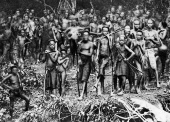 Les vergonyes europees a l’Àfrica