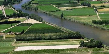 Els arbres del Baix Ter