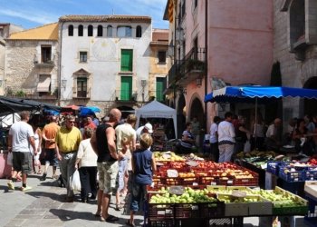 “Quo vadis”, Torroella?