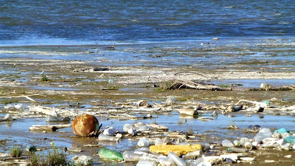 El mal que fem al mar
