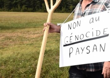 Política agrària: d’Europa al Ripollès