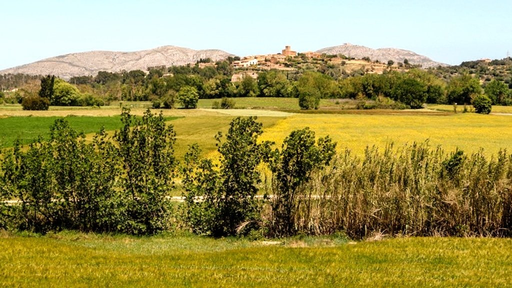 L’Empordà, amb perspectiva (I)