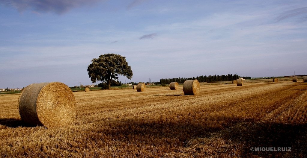 Desenvolupament sostenible de marca Costa Brava
