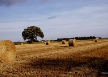 Desenvolupament sostenible de marca Costa Brava