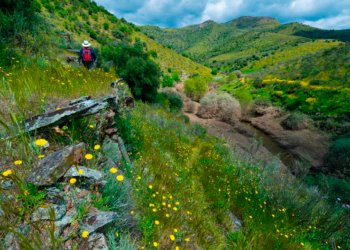 Una autèntica reforma de la PAC