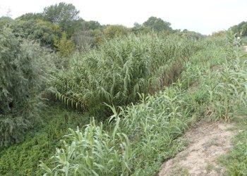 A l’aguait del nostre patrimoni