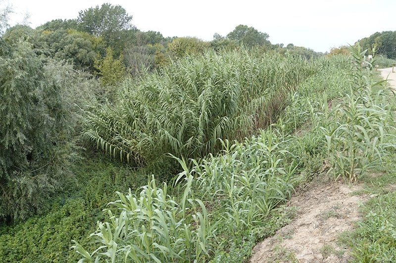 A l’aguait del nostre patrimoni