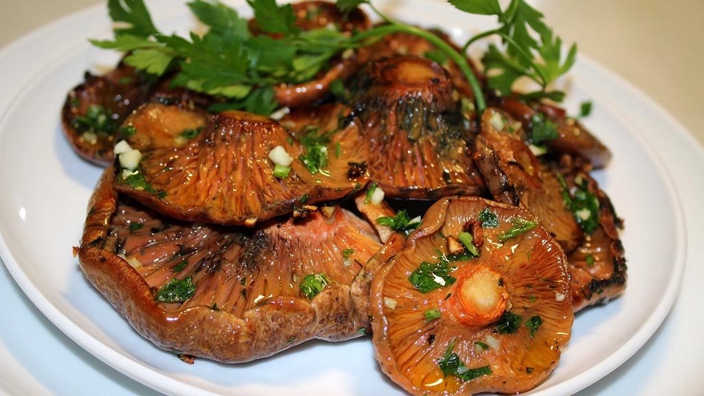 La cuina d’en Joan Mitjà